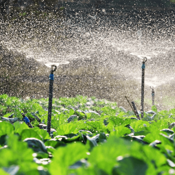 Irrigation Systems